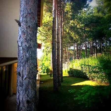 Nelly's House Arapya